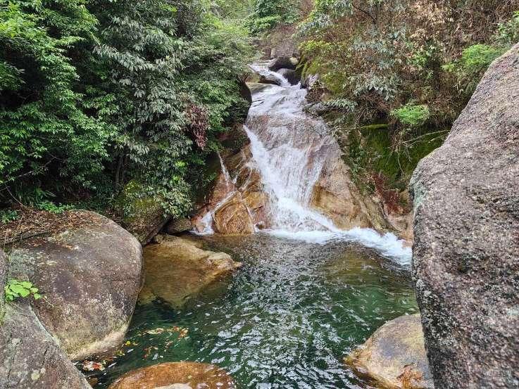 沈阳执业药师考试地点知识星球平台